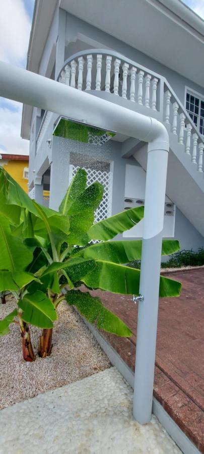 Villa Ravens'S Paradise Azul Willemstad Esterno foto